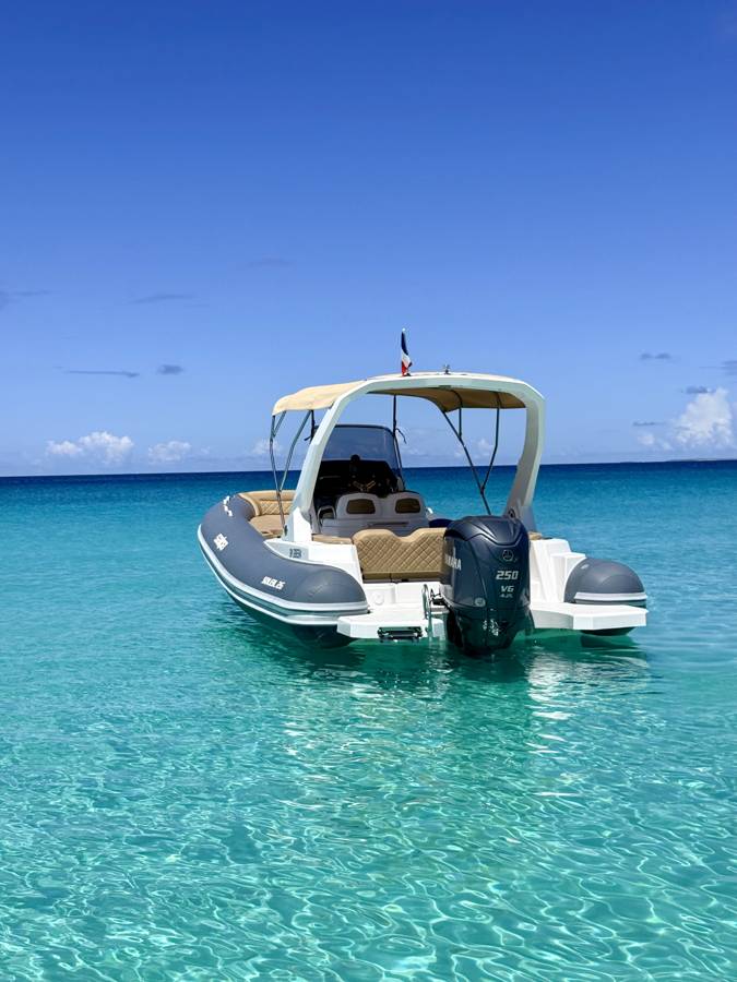 PALOMA: stern view with the 250 hp Yamaha and the swim platform