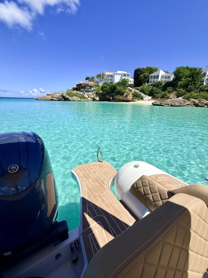 ONE LIFE 29: swim platform and boarding ladder