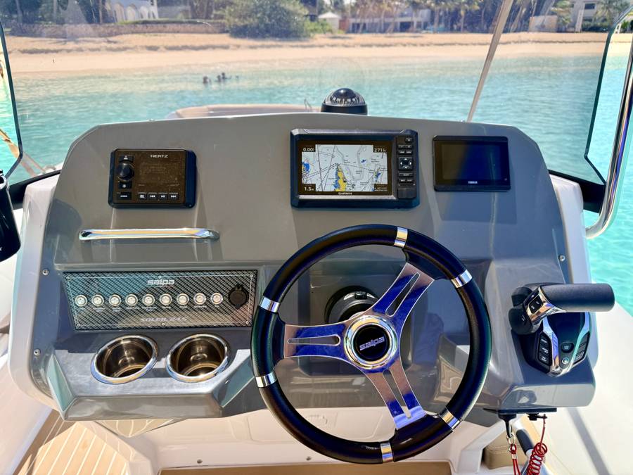 ONE LIFE 29: helm station with Garmin GPS and Yamaha display